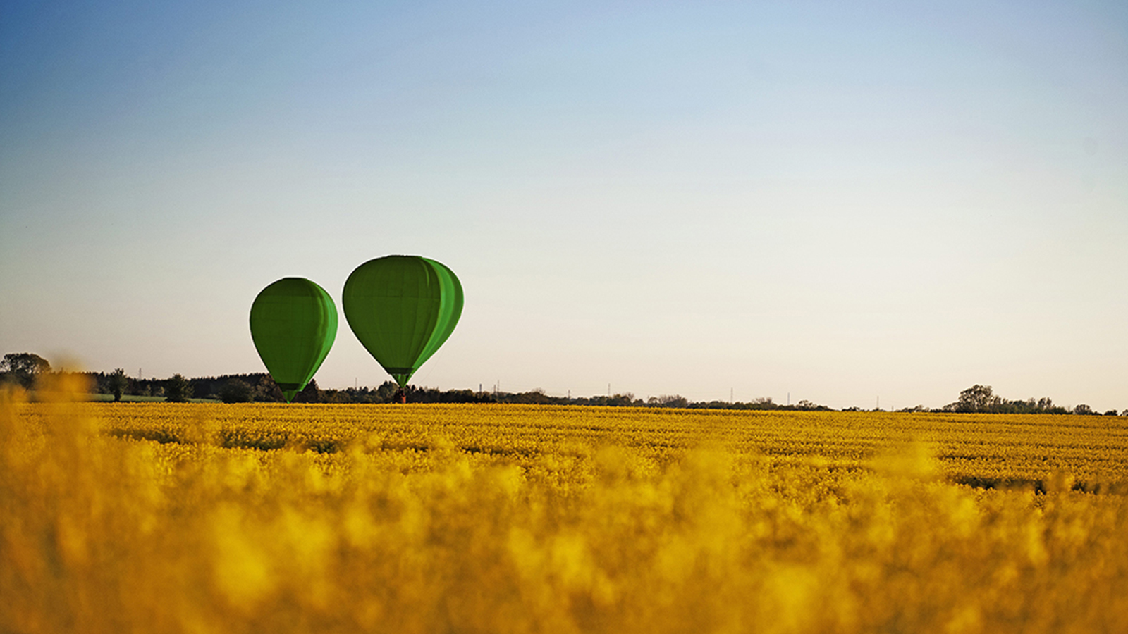 To grønne luftballoner på en kortnmark