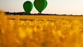 Grønne KMD ballonner